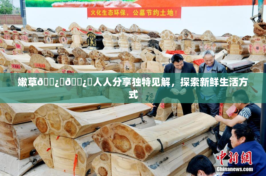 嫩草🌿‌🌿‌人人分享独特见解，探索新鲜生活方式