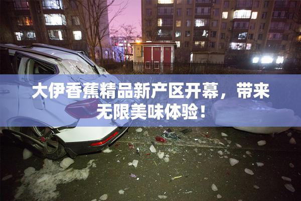 大伊香蕉精品新产区开幕，带来无限美味体验！