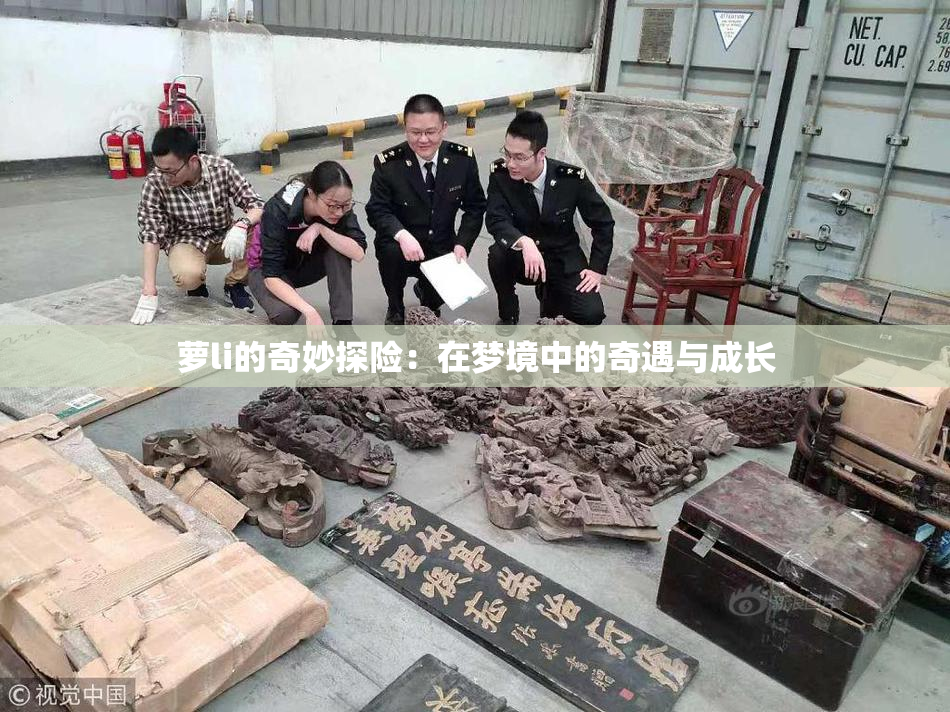 萝li的奇妙探险：在梦境中的奇遇与成长