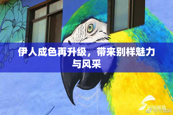 伊人成色再升级，带来别样魅力与风采