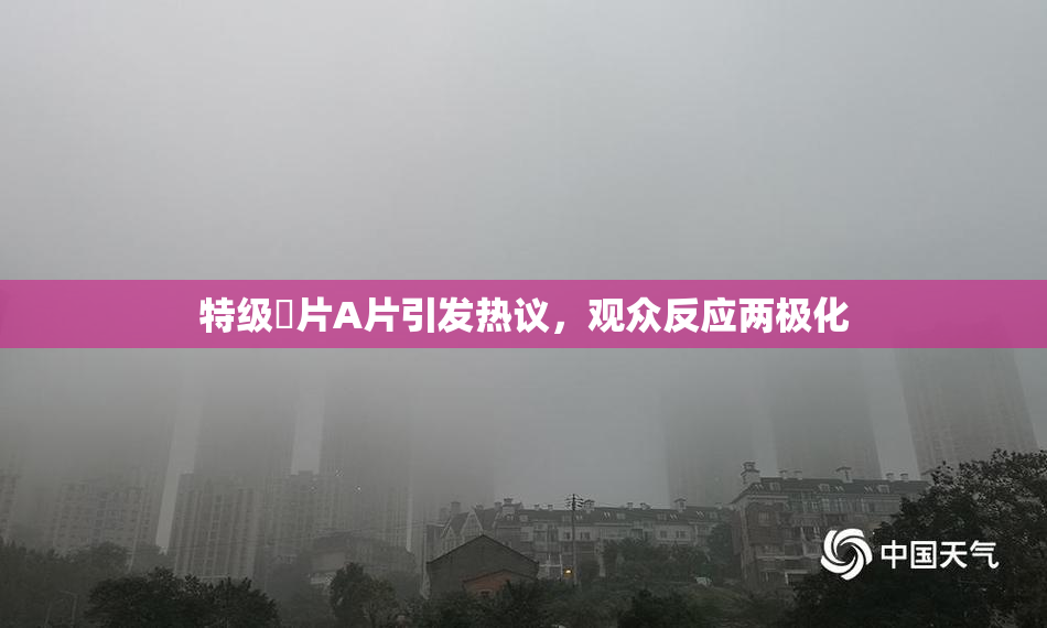 特级婬片A片引发热议，观众反应两极化