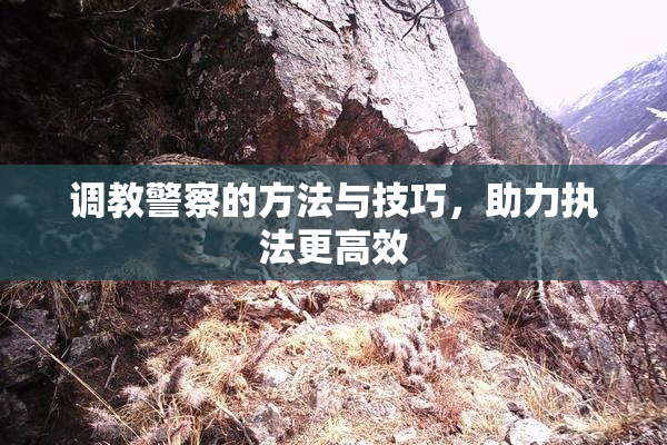 调教警察的方法与技巧，助力执法更高效