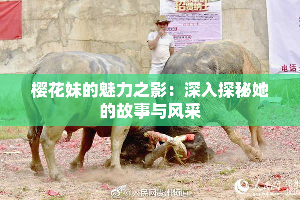 樱花妹的魅力之影：深入探秘她的故事与风采