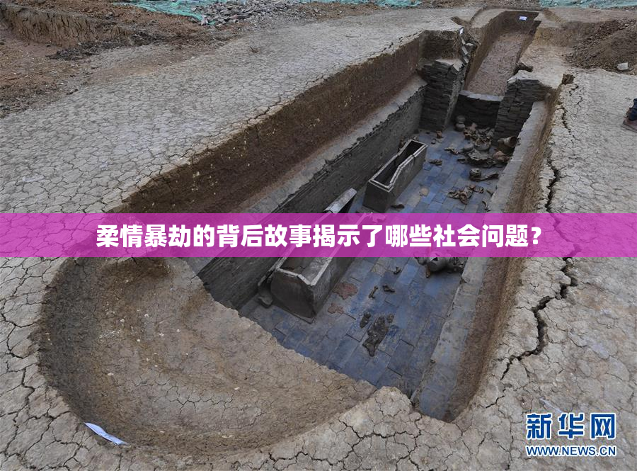 柔情暴劫的背后故事揭示了哪些社会问题？