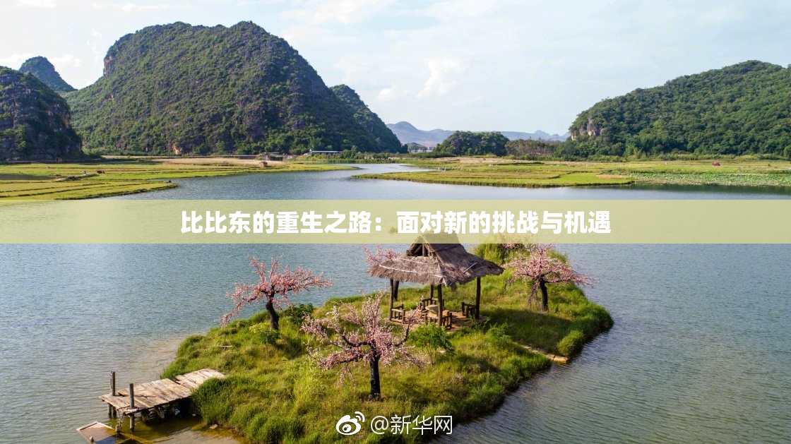 比比东的重生之路：面对新的挑战与机遇