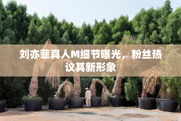 刘亦菲真人M细节曝光，粉丝热议其新形象
