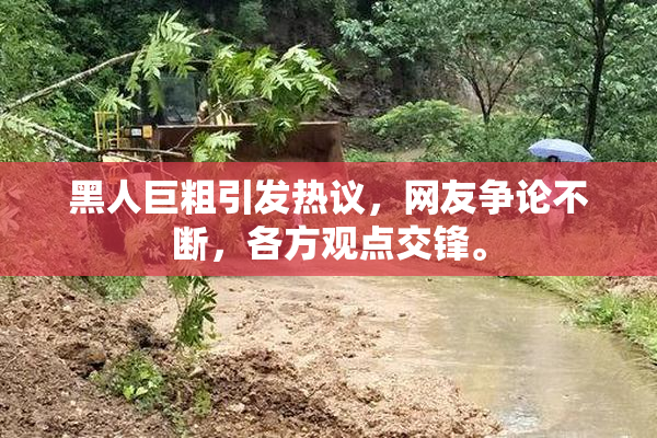 黑人巨粗引发热议，网友争论不断，各方观点交锋。