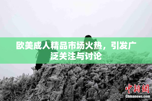 欧美成人精品市场火热，引发广泛关注与讨论