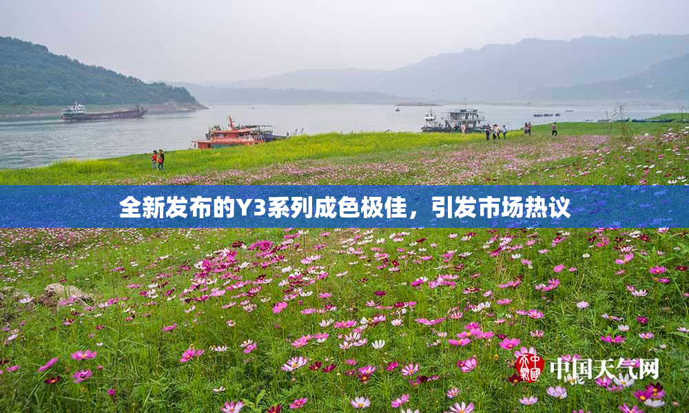 全新发布的Y3系列成色极佳，引发市场热议