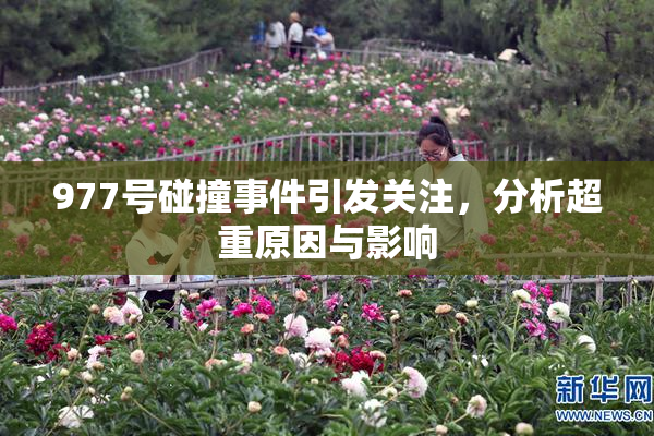 977号碰撞事件引发关注，分析超重原因与影响