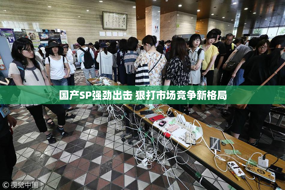 国产SP强劲出击 狠打市场竞争新格局