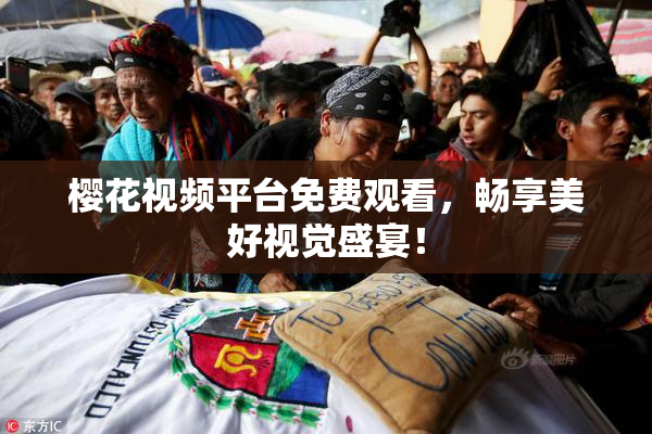 樱花视频平台免费观看，畅享美好视觉盛宴！