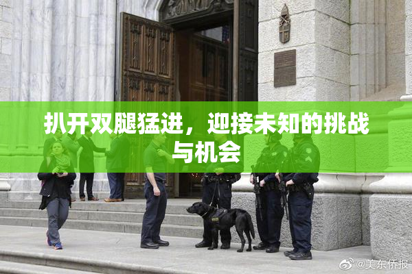 扒开双腿猛进，迎接未知的挑战与机会