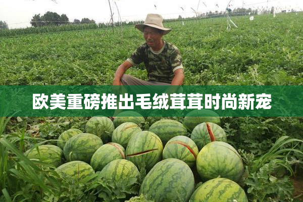 欧美重磅推出毛绒茸茸时尚新宠
