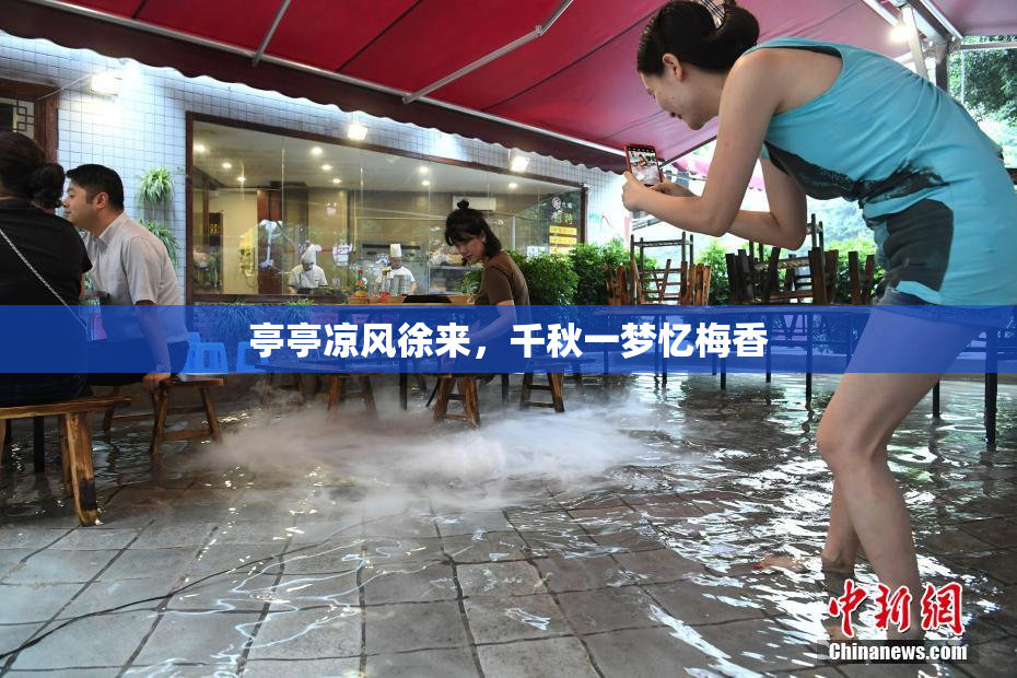 亭亭凉风徐来，千秋一梦忆梅香