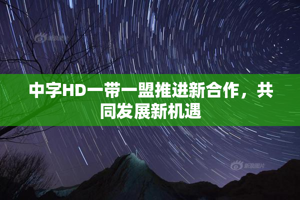 中字HD一带一盟推进新合作，共同发展新机遇