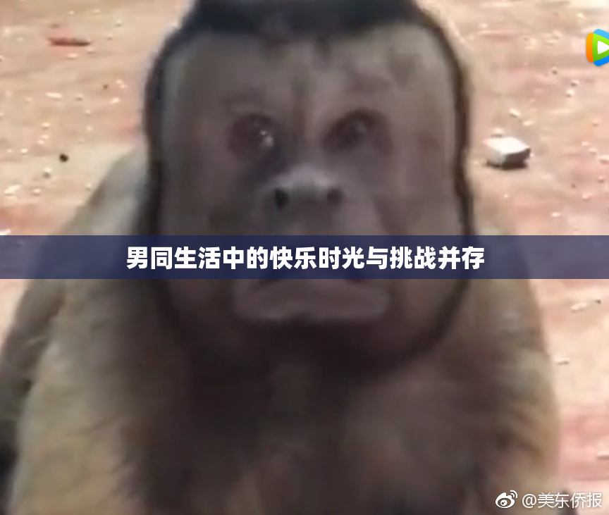 男同生活中的快乐时光与挑战并存