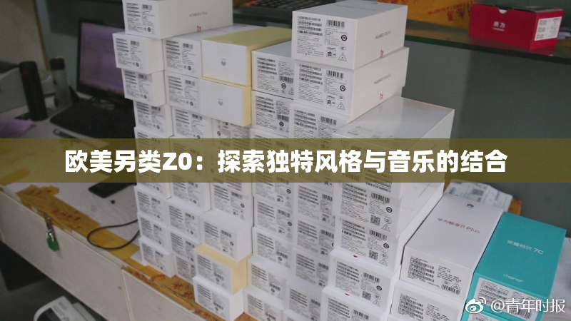 欧美另类Z0：探索独特风格与音乐的结合