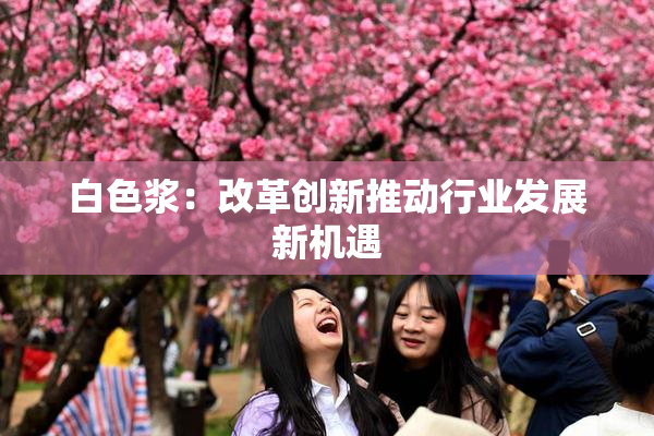 白色浆：改革创新推动行业发展新机遇