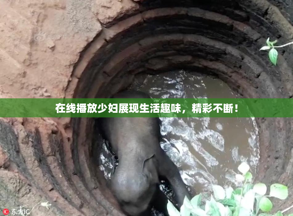 在线播放少妇展现生活趣味，精彩不断！