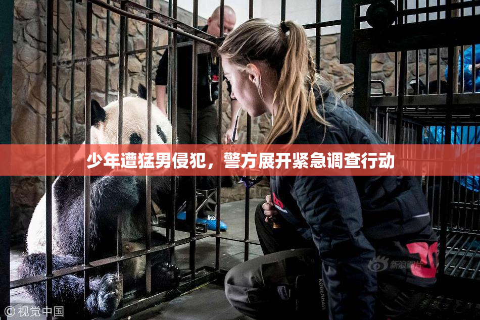 少年遭猛男侵犯，警方展开紧急调查行动