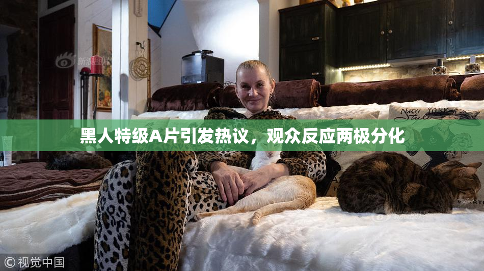 黑人特级A片引发热议，观众反应两极分化