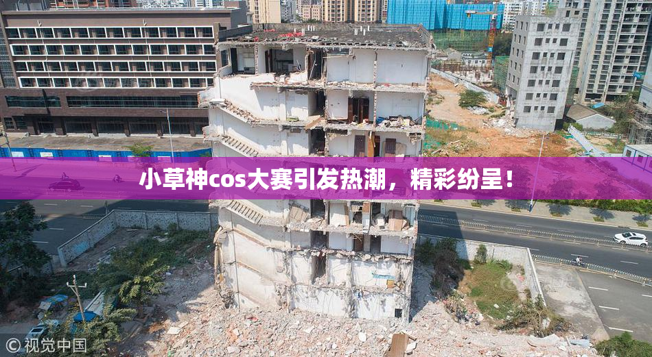 小草神cos大赛引发热潮，精彩纷呈！