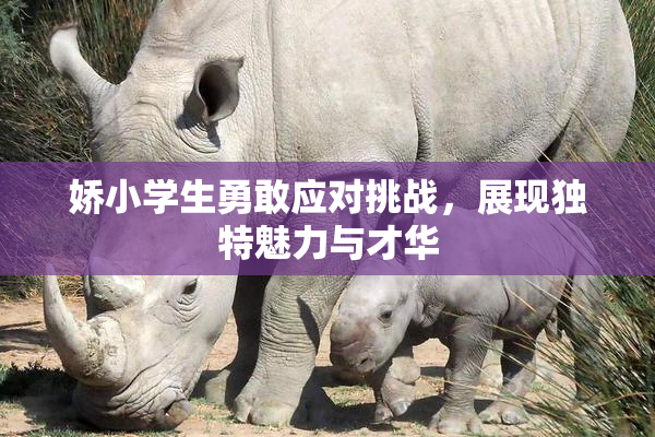 娇小学生勇敢应对挑战，展现独特魅力与才华