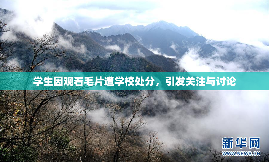 学生因观看毛片遭学校处分，引发关注与讨论