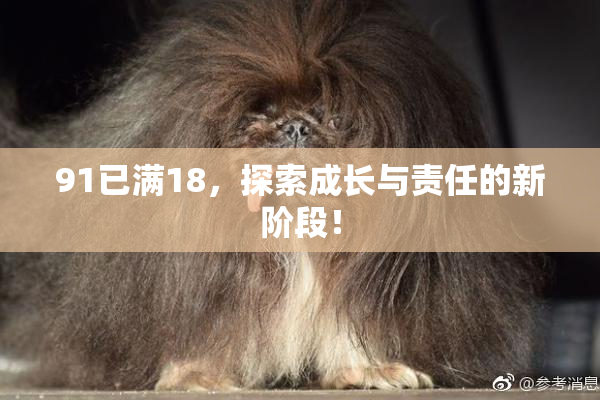 91已满18，探索成长与责任的新阶段！