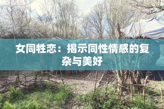 女同牲恋：揭示同性情感的复杂与美好