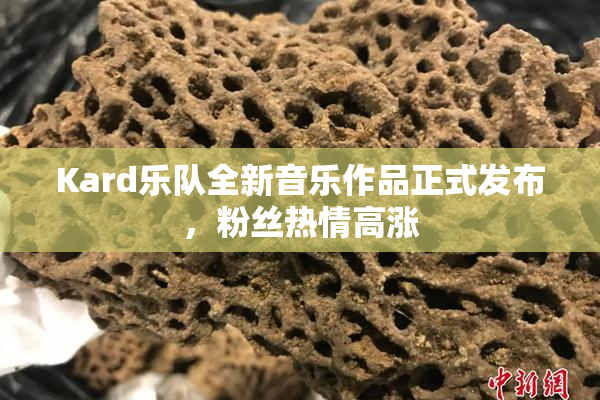 Kard乐队全新音乐作品正式发布，粉丝热情高涨