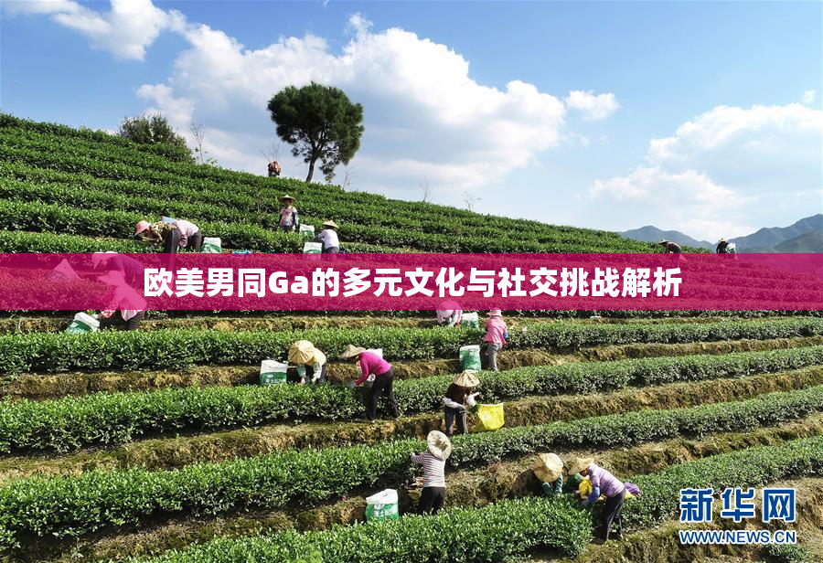 欧美男同Ga的多元文化与社交挑战解析