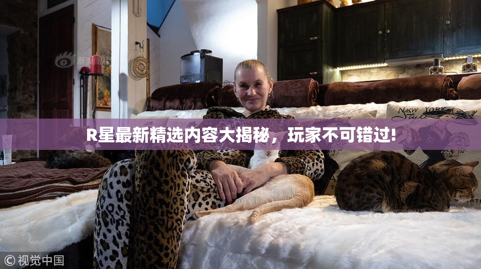 R星最新精选内容大揭秘，玩家不可错过!