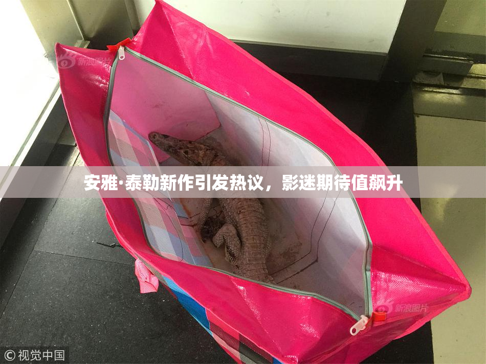 安雅·泰勒新作引发热议，影迷期待值飙升