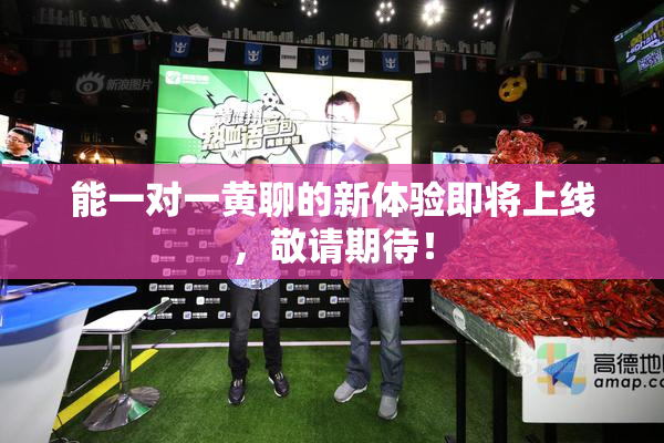能一对一黄聊的新体验即将上线，敬请期待！