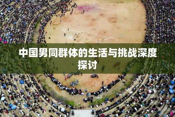 中国男同群体的生活与挑战深度探讨