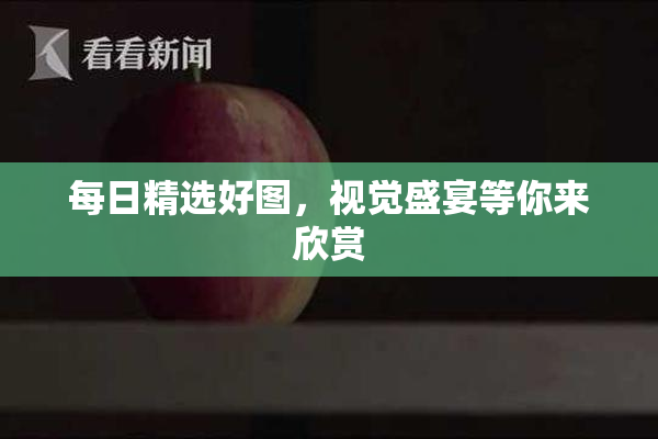 每日精选好图，视觉盛宴等你来欣赏