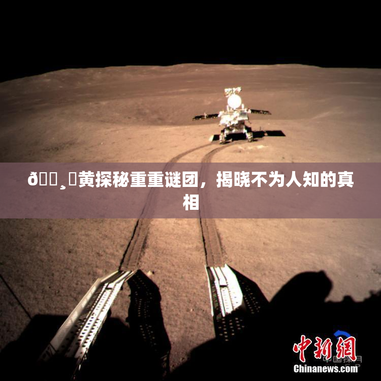 🌸‌黄探秘重重谜团，揭晓不为人知的真相