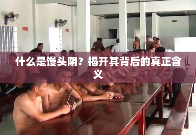 什么是馒头阴？揭开其背后的真正含义