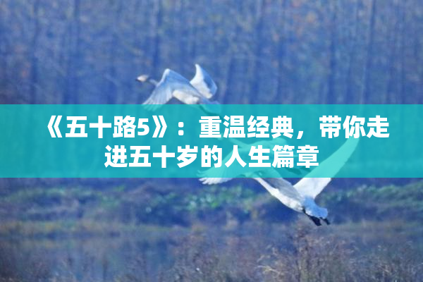 《五十路5》：重温经典，带你走进五十岁的人生篇章