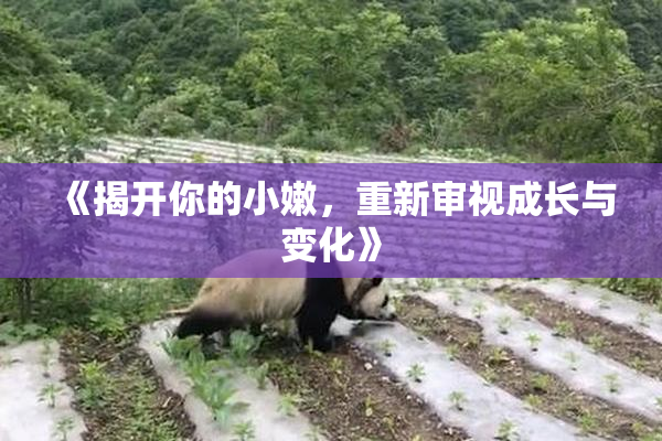 《揭开你的小嫩，重新审视成长与变化》