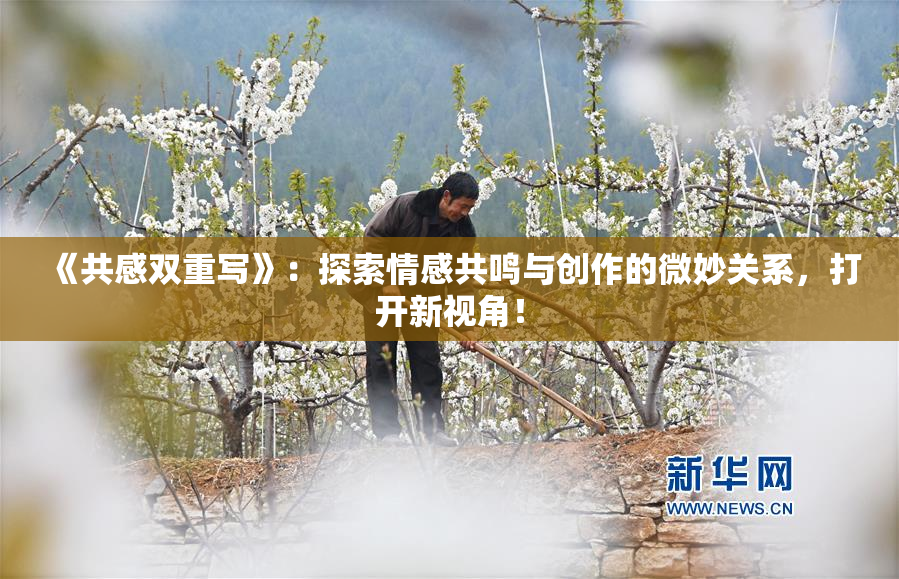 《共感双重写》：探索情感共鸣与创作的微妙关系，打开新视角！