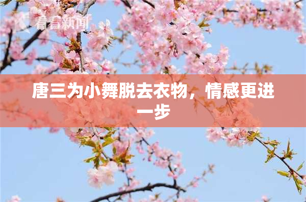 唐三为小舞脱去衣物，情感更进一步