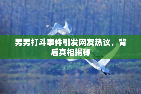 男男打斗事件引发网友热议，背后真相揭秘