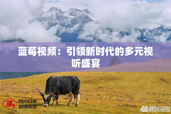 蓝莓视频：引领新时代的多元视听盛宴