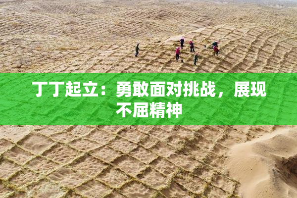 丁丁起立：勇敢面对挑战，展现不屈精神