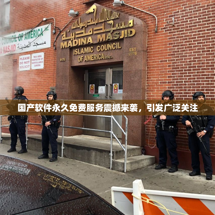 国产软件永久免费服务震撼来袭，引发广泛关注