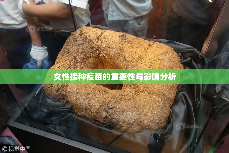 女性接种疫苗的重要性与影响分析