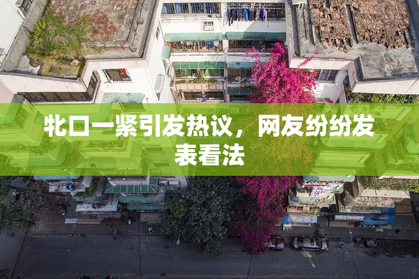 牝口一紧引发热议，网友纷纷发表看法